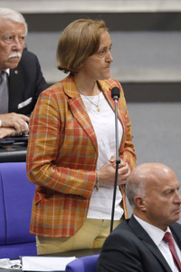 235. Sitzung des Deutschen Bundestages in Berlin