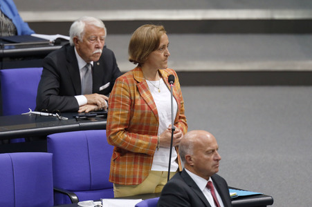 235. Sitzung des Deutschen Bundestages in Berlin