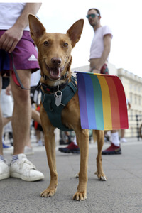 CSD-Demonstrationen in Berlin