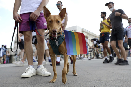 CSD-Demonstrationen in Berlin