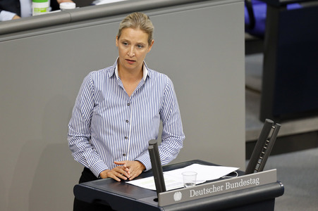 236. Sitzung des Deutschen Bundestages in Berlin