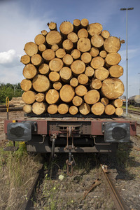 Symbolfoto Holztransport