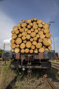 Symbolfoto Holztransport