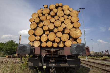 Symbolfoto Holztransport