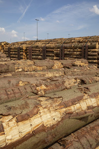 Symbolfoto Holztransport