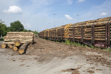 Symbolfoto Holztransport
