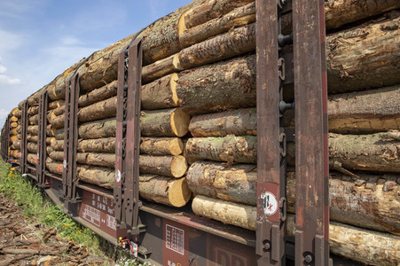 Symbolfoto Holztransport