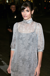 Filmpremiere 'Die Familie Stone - Verloben verboten!' in Los Angeles