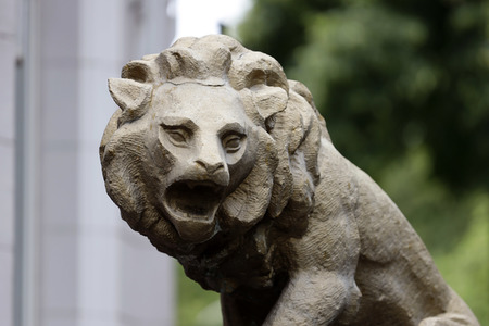 Symbolfoto Fabelwesen