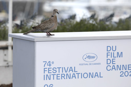 Photocall 'France', Cannes Film Festival 2021