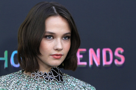 Filmpremiere 'How It Ends' in Los Angeles