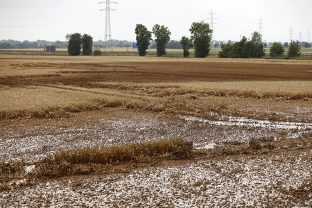 Symbolfoto Ernteschäden in NRW