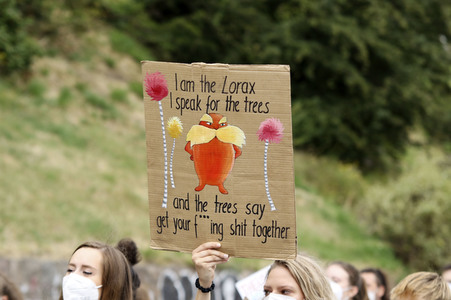 Fridays for Future Demonstration in Hamburg