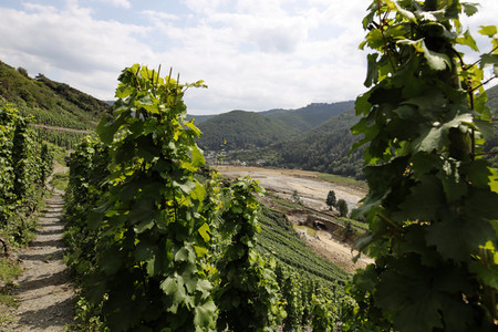 Flutschäden in der Eifel