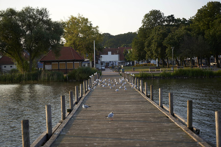 Sonnenaufgang in Steinhude