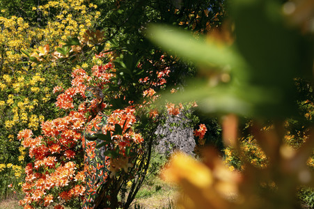 'Welttag des Naturschutzes' - Bodypainting