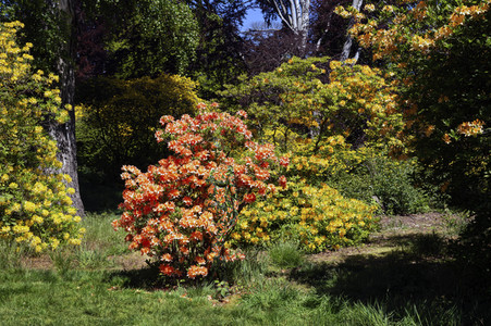'Welttag des Naturschutzes' - Bodypainting