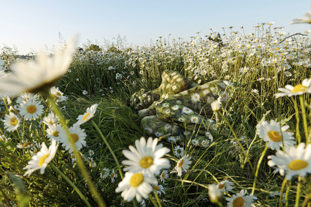 'Welttag des Naturschutzes' - Bodypainting