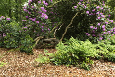 'Welttag des Naturschutzes' - Bodypainting