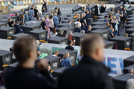 Konzert von Fury in the Slaughterhouse in Möchengladbach
