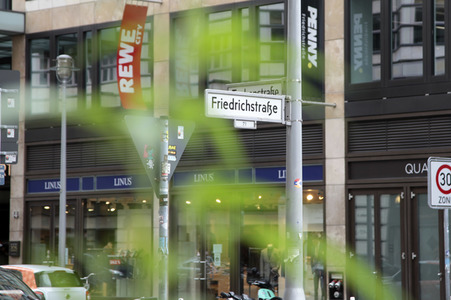 Hanfpflanze auf der Friedrichstraße in Berlin