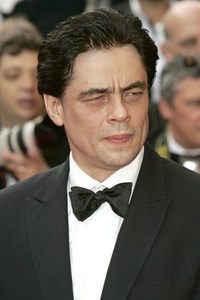 Filmpremiere 'Che', Cannes Film Festival 2008
