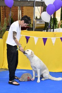 Familiy & Fan Screening von 'Paw Patrol - Der Kinofilm' in Berlin