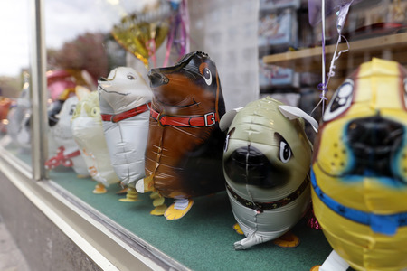 Symbolfoto Hundesteuer