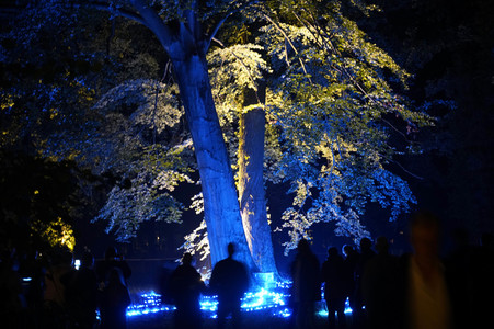 Potsdamer Schlössernacht 2021