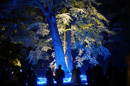 Potsdamer Schlössernacht 2021