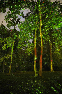 Potsdamer Schlössernacht 2021