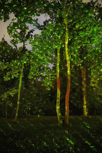 Potsdamer Schlössernacht 2021