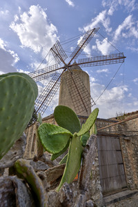 Sightseeing Mallorca
