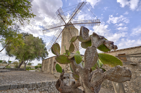 Sightseeing Mallorca