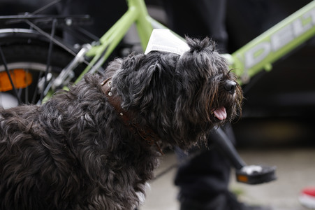 Demonstration von Kritikern der Corona-Maßnahmen in Berlin
