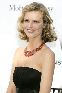 amfAR's Cinema Against Aids Gala, Cannes Film Festival 2008