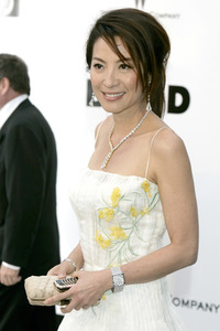 amfAR's Cinema Against Aids Gala, Cannes Film Festival 2008