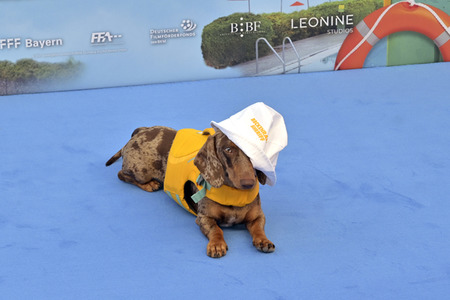 Filmpremiere 'Beckenrand Sheriff' in München
