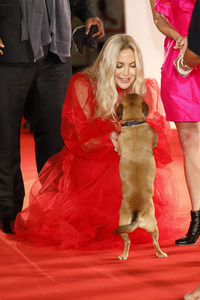 Filmpremiere 'Mona Lisa and the Blood Moon', Internationale Filmfestspiele von Venedig 2021