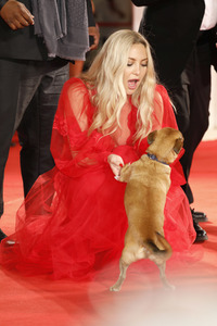 Filmpremiere 'Mona Lisa and the Blood Moon', Internationale Filmfestspiele von Venedig 2021