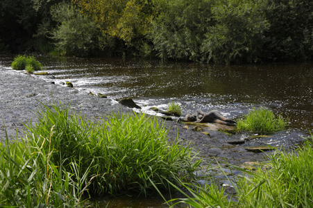 NATURE ART: Flusswehr / River Weir Bodypainting
