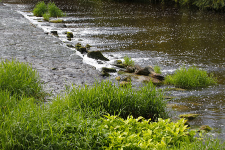 NATURE ART: Flusswehr / River Weir Bodypainting