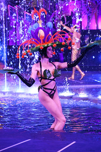 Fotocall Arise Grand Show in Berlin