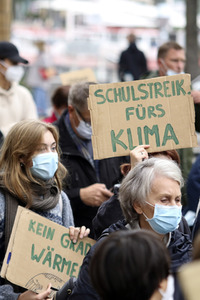 Globaler Klimastreik in Hamburg