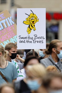 Globaler Klimastreik in Köln