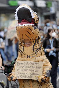 Globaler Klimastreik in Köln