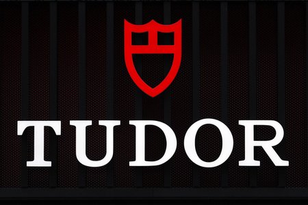 Symbolfoto Tudor