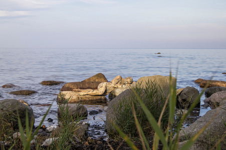 Bodypainting in Nature Kalender 2022