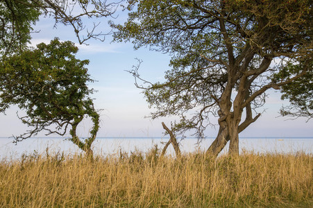 Bodypainting in Nature Kalender 2022