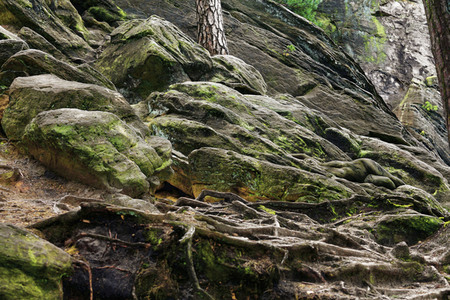 Bodypainting in Nature Kalender 2022